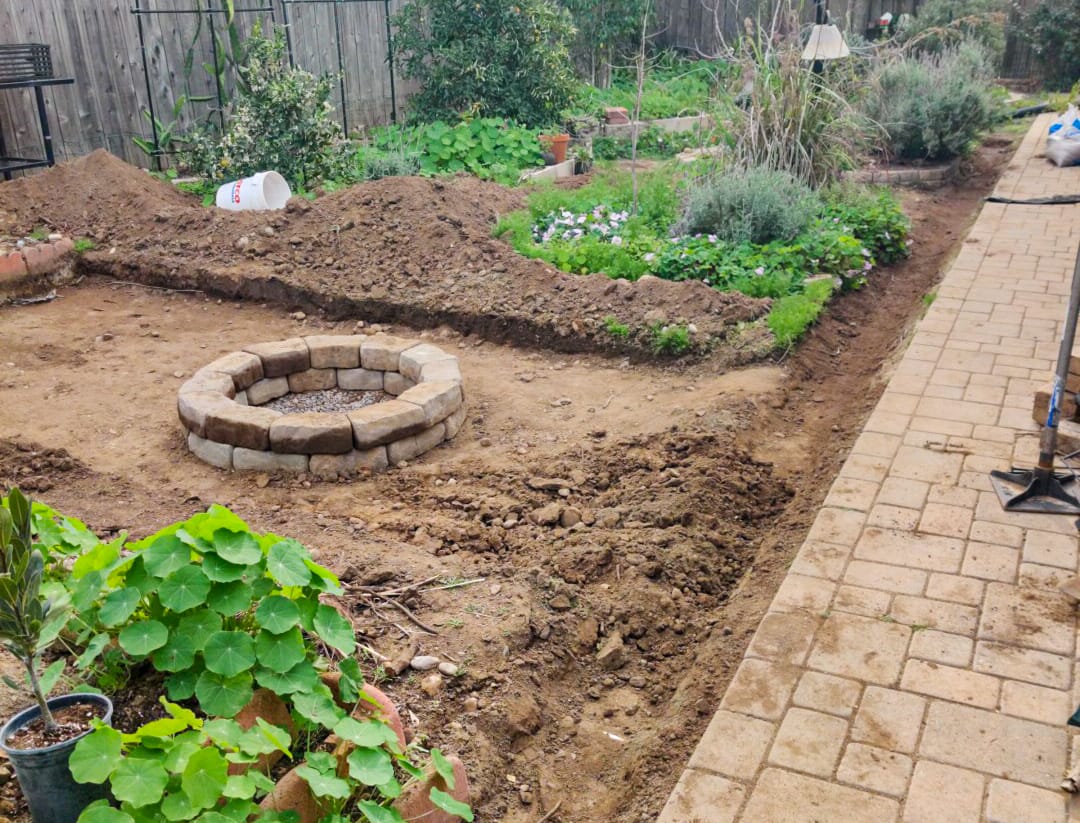 Baer's Complete Reveal, 3-16-2026