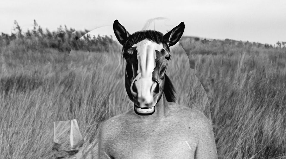 Horse Spirit with Wine, (generative AI sketching, 5-23- 2023)